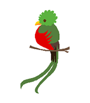 bird
